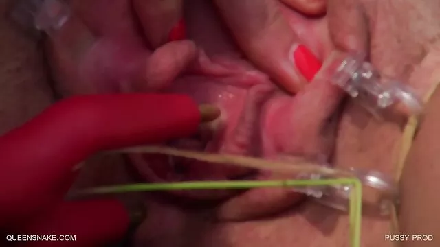 Porno pas d'inscription  Un chaton a une beauté videos sexe amateur gratuit forte et look kittenen